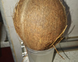 Foto del paso 1 de la receta: Coco helado