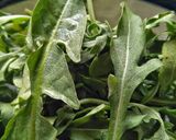 Foto del paso 1 de la receta Ensalada de rúcula