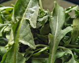 Foto del paso 1 de la receta: Ensalada de rúcula
