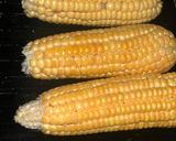 A picture of step 1 of Roasted corn #nigeriastreetfood.