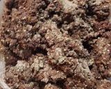 Foto del paso 4 de la receta: Brownies de harina de avena