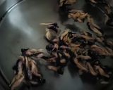 Foto langkah ke 2 dari resep Bubur Candil Bunga Telang.