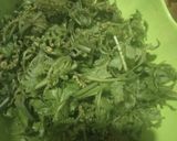 Foto langkah ke 1 dari resep Kelakai (Sayur Pakis) kuah Santan.