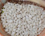 Foto langkah ke 5 dari resep Kacang Bawang Renyah.