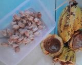 Foto langkah ke 1 dari resep Mengolah Buah Coklat Menjadi Choco Bar.