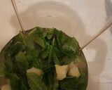 Mint lemonadematakin girki1 hoto