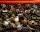 Foto del paso 4 de la receta: Capricho de cacao para el desayuno