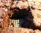 Foto del paso 7 de la receta: Torta súper húmeda de CHOCOLATE Y CAFÉ ☕️🤩🍫