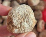 Foto del paso 1 de la receta: Chuño 🥔 papa ancestral del altiplano andino 🥔congelada y deshidratada de forma natural 🥔