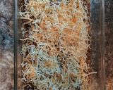 A picture of step 5 of Lasagna.