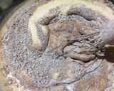 Foto langkah ke 3 dari resep Mochi Cake (1131).