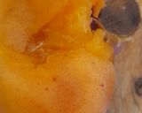 Foto del paso 1 de la receta: Mermelada de damasco