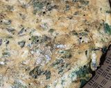 Foto del paso 3 de la receta: Tortilla de hojas de remolacha