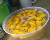 Foto langkah ke 5 dari resep Agar nutrijel mangga.