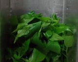 Foto langkah ke 1 dari resep Tumis Pindang Tongkol Kemangi.