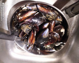 Foto del paso 1 de la receta: Mejillones Rellenos al Curry