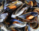 Foto del paso 1 de la receta: Mejillones con dos mayonesas y tierra de aceitunas negras