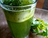 A picture of step 3 of Cucumber & Mint Cooler.