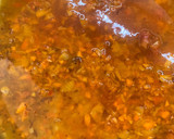 Foto del paso 3 de la receta: Albóndigas de carne picada