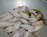 Foto langkah ke 6 dari resep Semur Cumi Bunting Isi Tahu Telur.