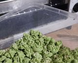 Foto langkah ke 7 dari resep Semprit Larut Pandan Keju.