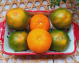 Hình bước làm 6 của món Bữa ăn đổi vị với mì xào và cơm chiên