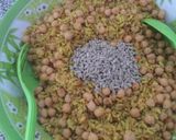 Foto del paso 5 de la receta: Ensalada de garbanzos, arvejas y arroz con especias