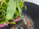 Tumis kangkung toge