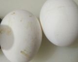 A picture of step 1 of Masala Omelette.