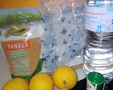 Foto del paso 1 de la receta: Granizado de limón saludable en MC