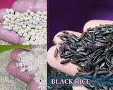 Black Rice Idli & Dosa