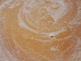 Tomato carrot soup