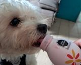 Foto del paso 2 de la receta: Perro vs yogurt