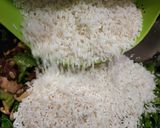 Foto langkah ke 5 dari resep Nasi Sawi Pahit (Kuachai Pui).
