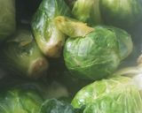 Foto del paso 1 de la receta: Repollito de Bruselas a la crem
