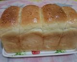 Foto langkah ke 3 dari resep Vegan Bread (Roti Tawar Nabati).