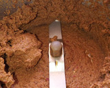 இஞ்சி ரசம் ரெசிபி ஸ்டேப் 1 புகைப்படம்