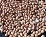 मूंगफली चिक्की (Mungfali chikki recipe in Hindi) रेसिपी चरण 1 फोटो