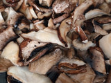 Burger di funghi secchi e sgombro 🍄‍🟫🐟