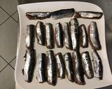 Une image de l'étape 5 de Sardines farcies épices et persillade (recette plancha).