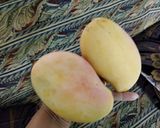 A picture of step 1 of Homemade Mango Jam.