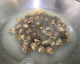 胡椒鳳螺的食譜步驟1照片
