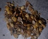 A picture of step 3 of Bhindi Do Pyaza.