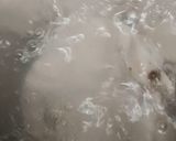 Foto langkah ke 1 dari resep Bubur Ayam ala Rima.