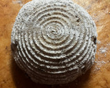 Foto del passaggio 7 della ricetta Pane con noci, uvetta e fichi
