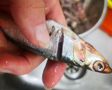 Foto del paso 2 de la receta: Boquerones al horno con pimientos de Padrón