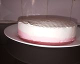 A picture of step 5 of Ice cream cake.