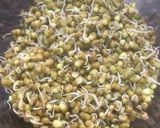 A picture of step 1 of Moong Sprouts Chaat.