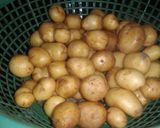 मसालेदार चटपटे छोटे आलू की सब्जी(masaledar chatpate chote aloo recipe in hindi) रेसिपी चरण 1 फोटो