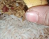 A picture of step 1 of Chana chaat.